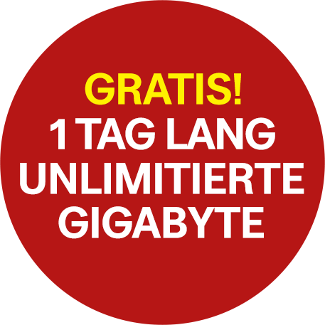 1 Tag lang unlimitiert surfen